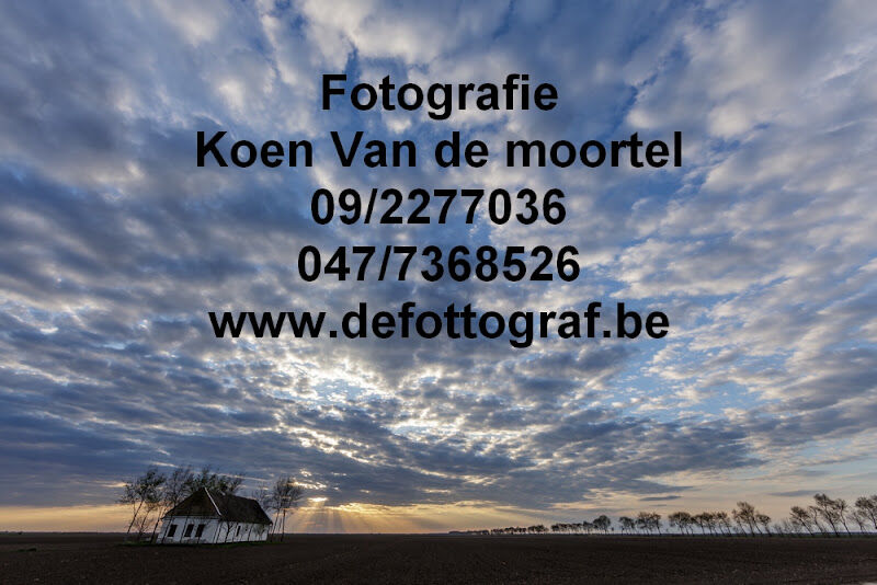 Foto van Koen & Dragana Van de moortel