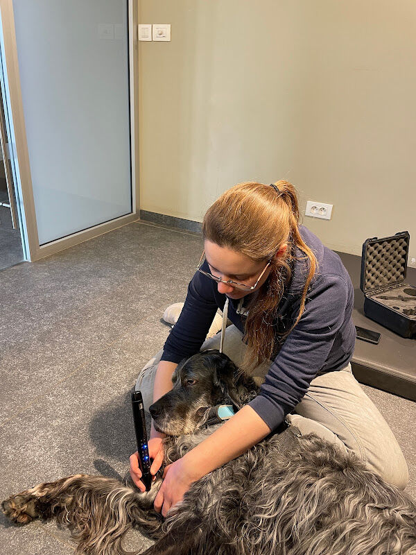 Foto van Animal Rehabilitation Center 'Het Waterhof'