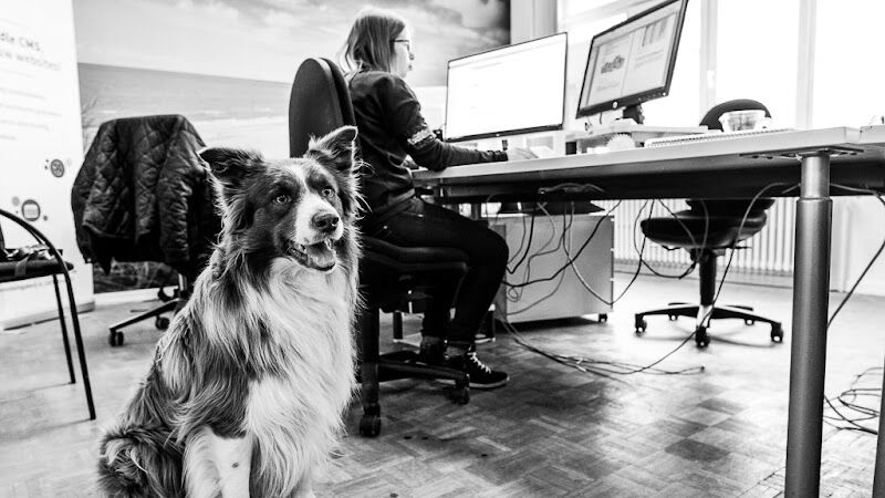 Foto van European Service Network (ESN)