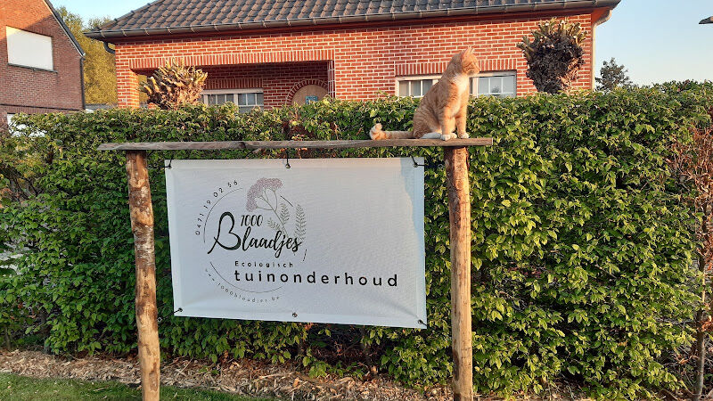 Foto van 1000 blaadjes