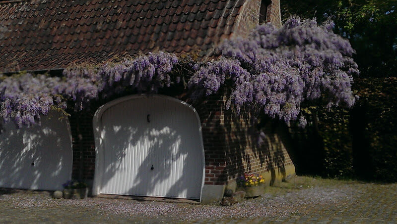 Foto van Poelman / P.