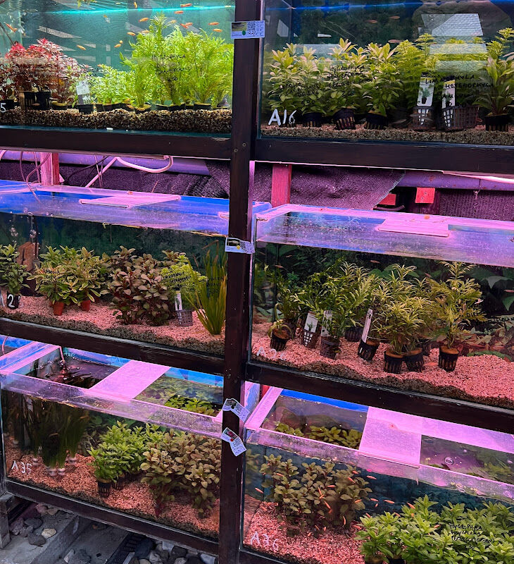 Foto van A. & V. Aquarium En Vijver