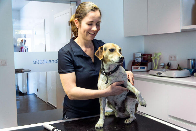 Foto van Crius Dierenartsen