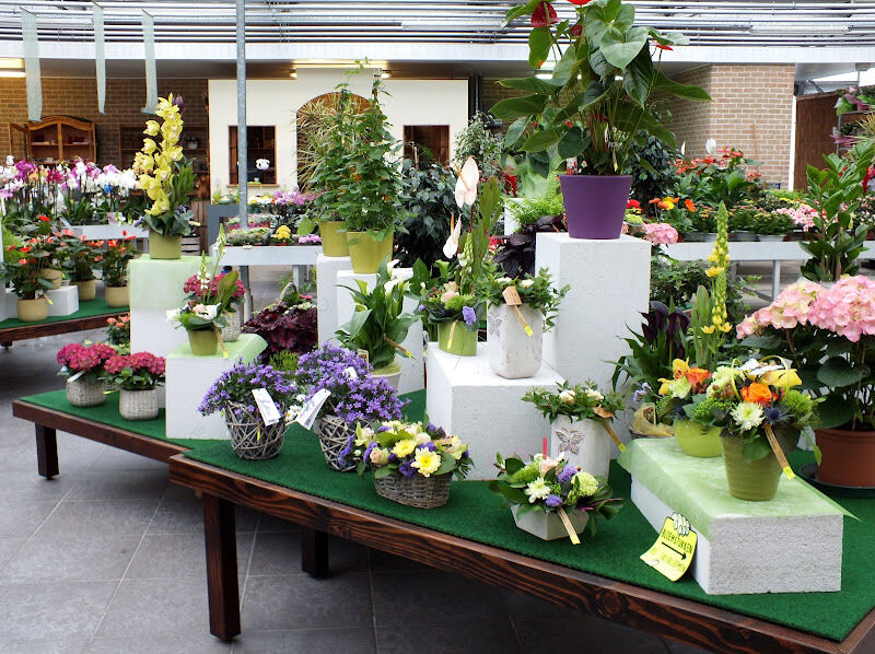 Foto van Bloemisterij - Tuincenter MORTIER - GOETHALS