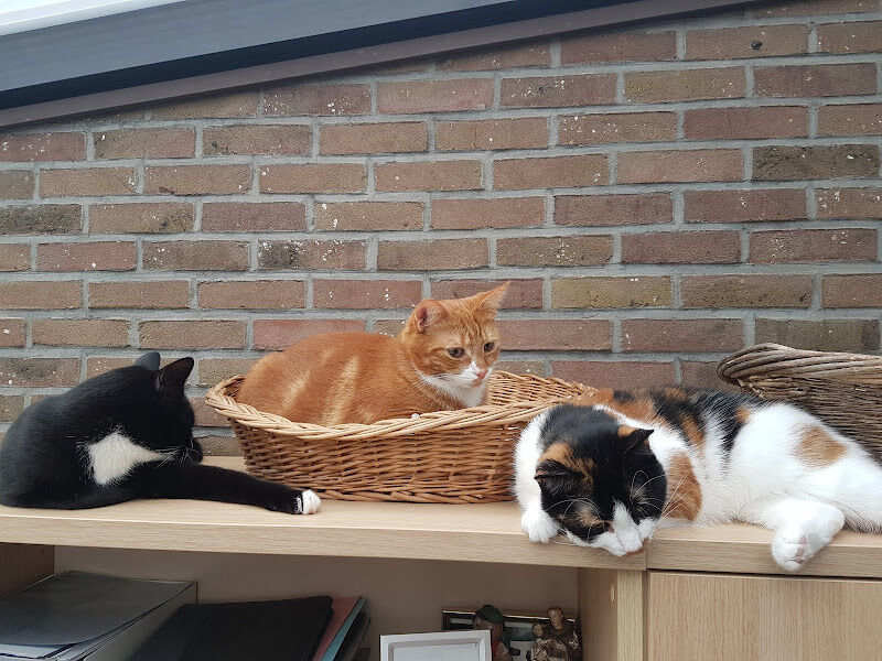 Foto van Vereecke L.