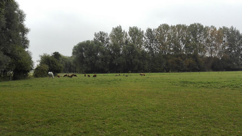 Foto van Buiteninrichting