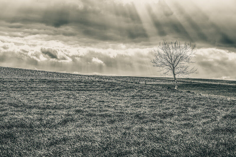 Foto van Rodesch photography