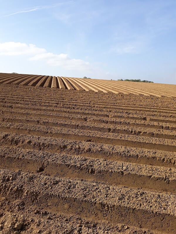 Foto van Valeco Bvba