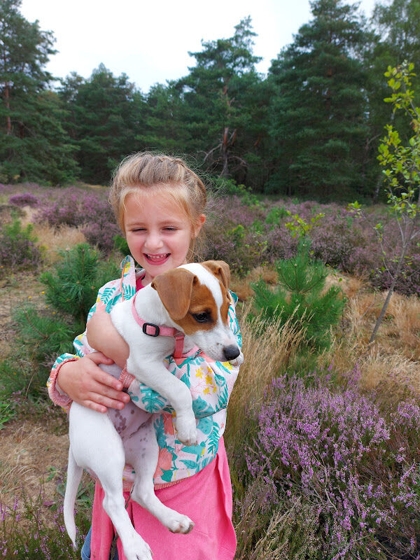 Foto van Dierenarts Nelly Mols