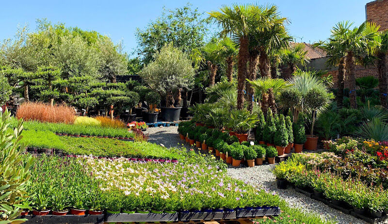 Foto van Oasis Garden by Suenaert