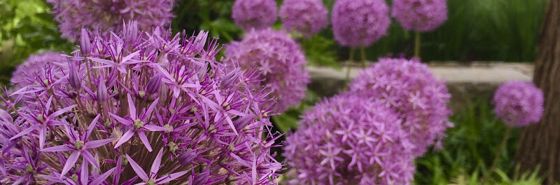 Foto van Artgreen Tuinonderhoud