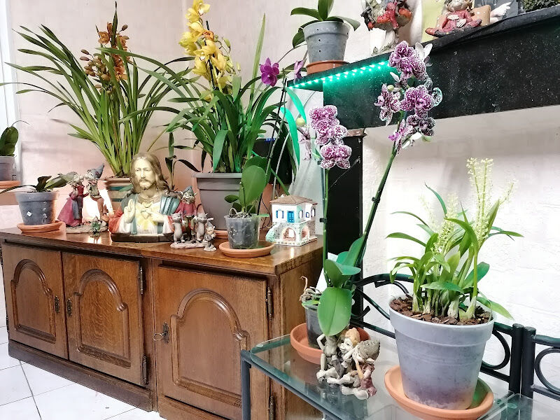 Foto van Bloemist De Stop