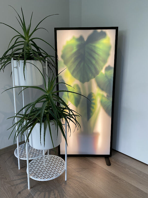 Foto van Dokter Katrien Dupon