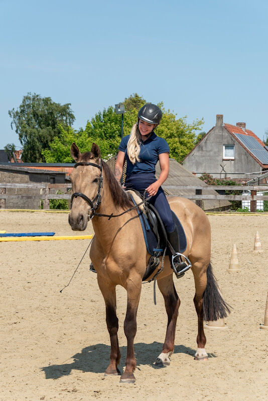Foto van Equidream
