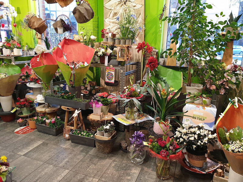 Foto van Bloemen Myos