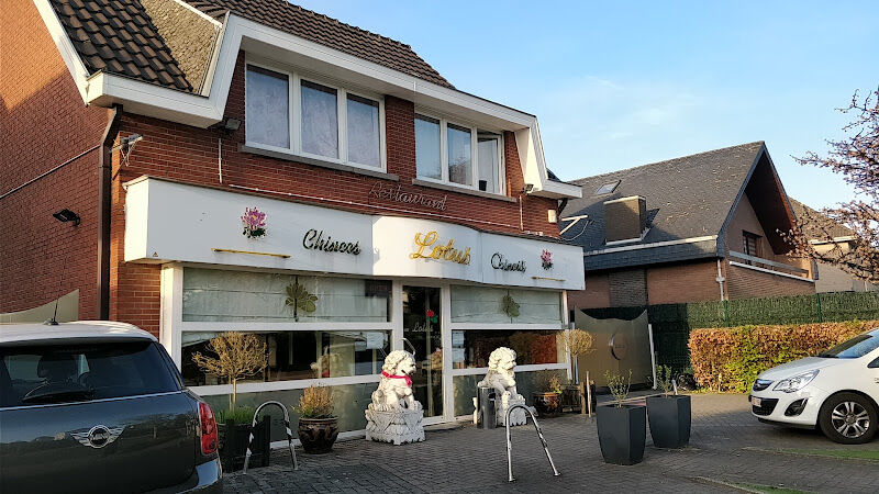 Foto van Lotus