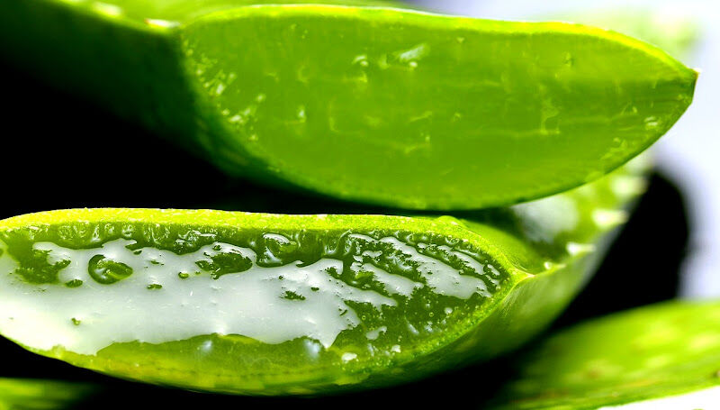 Foto van Aloe Vera webshop Foreverliving België