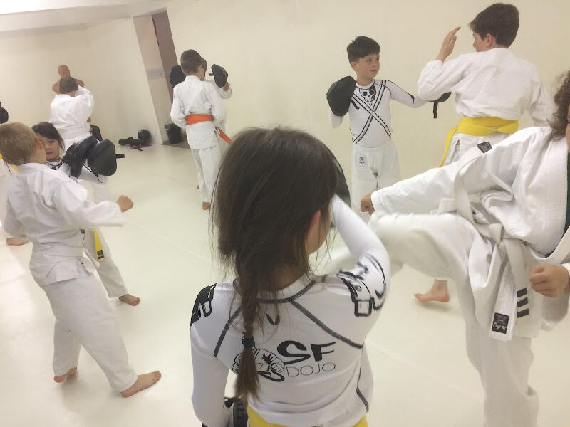 Foto van SFDOJO Rishinjuku karate MMA kickboxing zelfverdediging