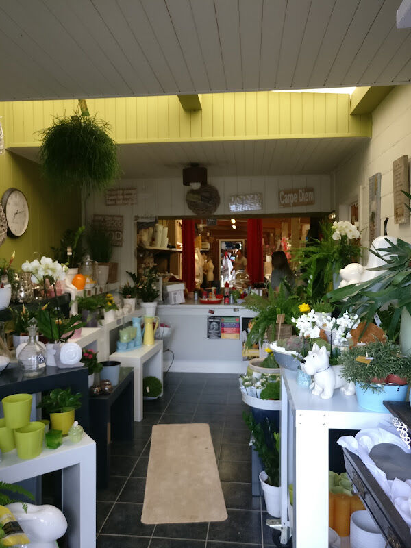 Foto van Florabel - Bloemen, Ballonnen en Groenadvies