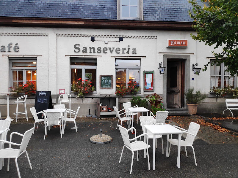 Foto van Sanseveria