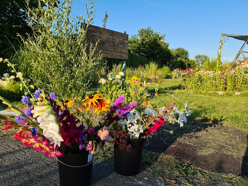 Foto van Blom pluktuin