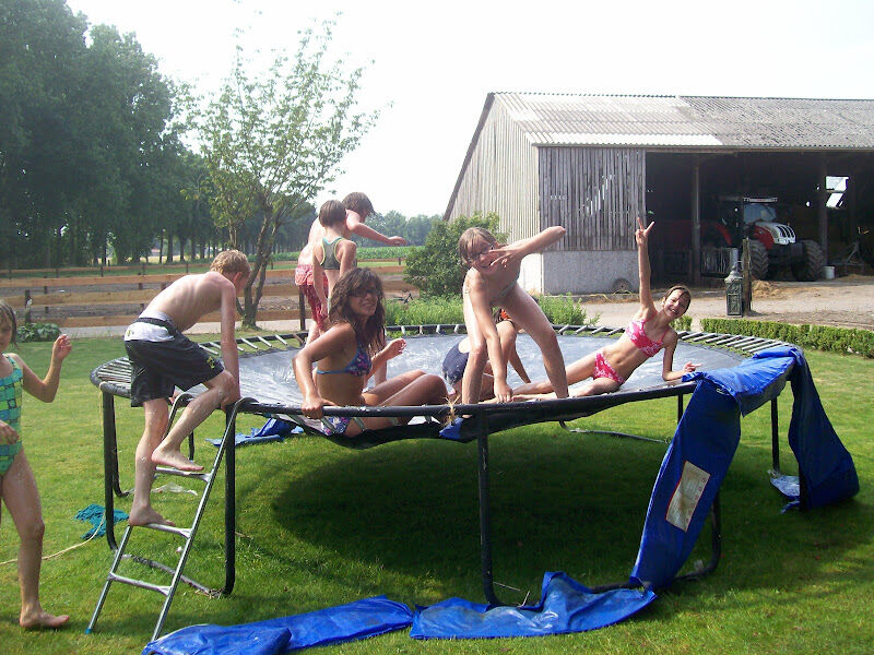 Foto van Van Den Abeele Koen