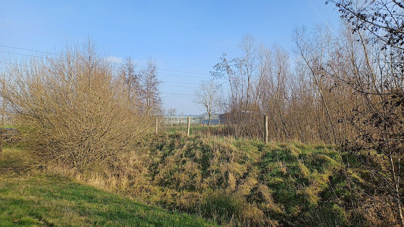 Foto van Patrijzenbos