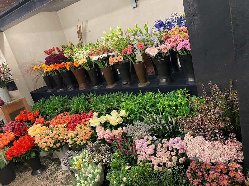 Foto van Willems Dimitri