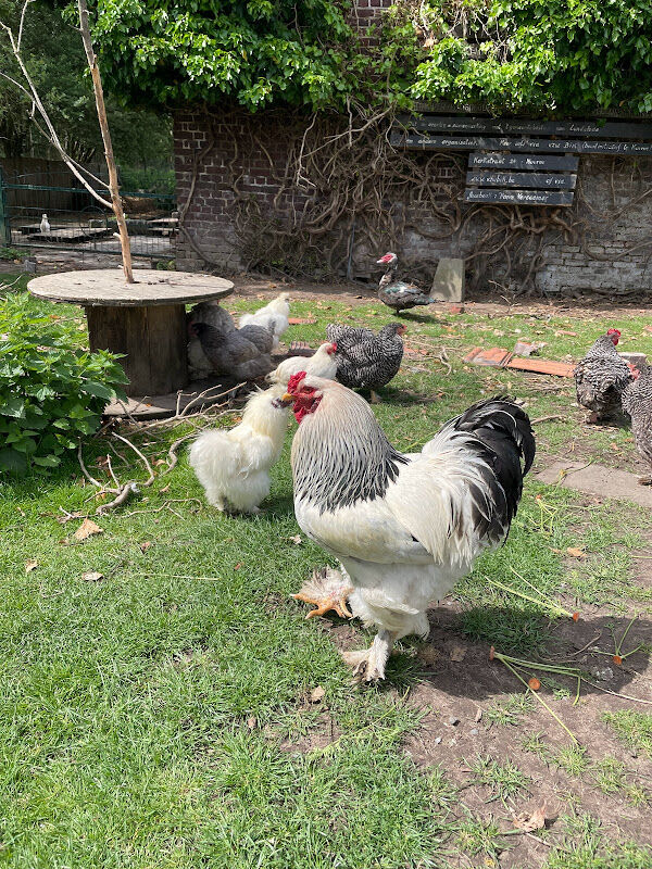 Foto van Hoeve Vercamer
