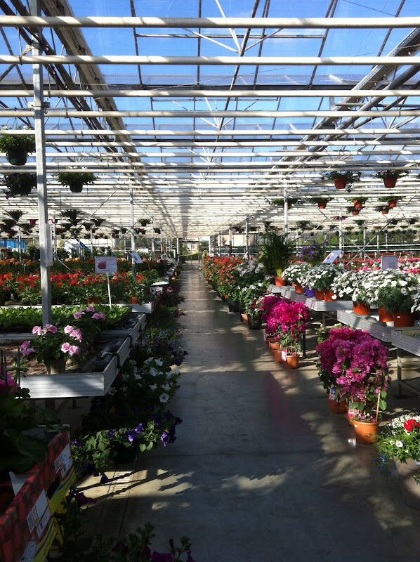 Foto van Plantencentrum Van Malder