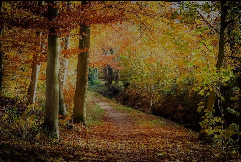 Foto van De Voer