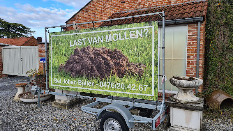 Foto van Bloem Bloem
