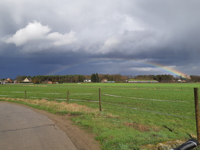 Foto van Boshoekdoemee