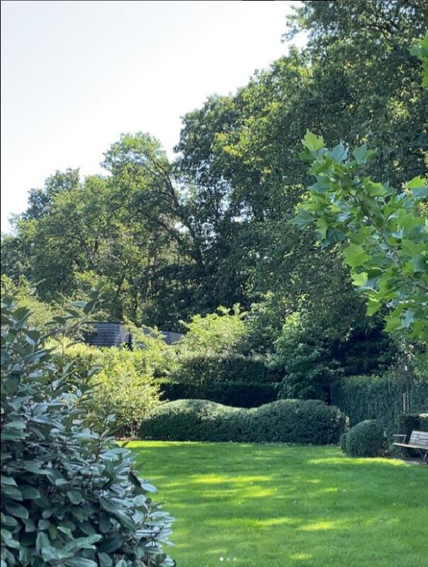 Foto van GardenAndForest