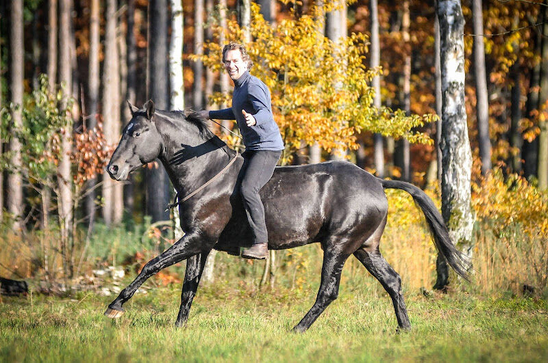 Foto van Jossy-Reynvoet.com/Bitless Art of Riding