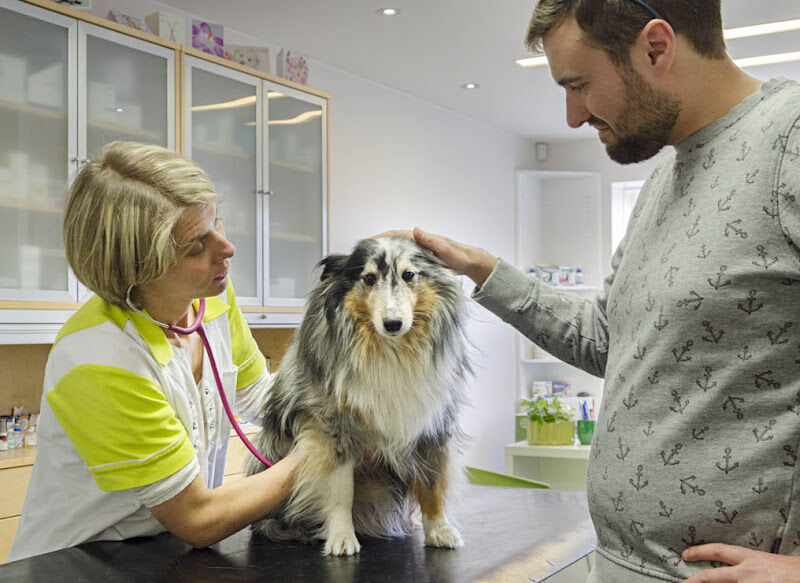 Foto van Dierenarts Dupon Anouk