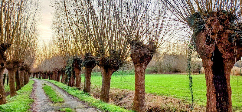 Foto van Stefaan Coucke Landscape