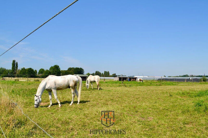 Foto van Commissarishoeve