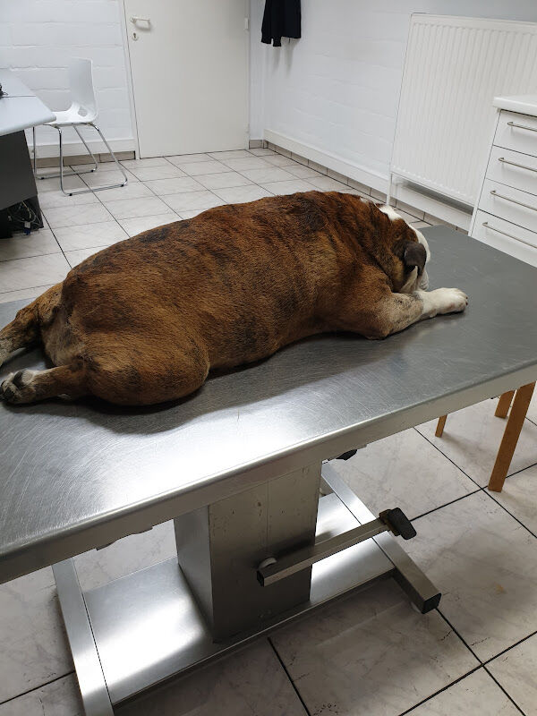 Foto van Dierenartsencentrum De Meren