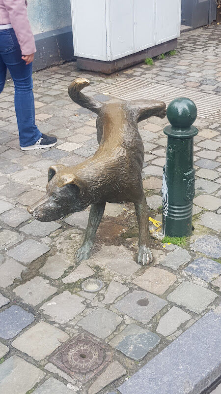Foto van dierenarts Mireille Gerard