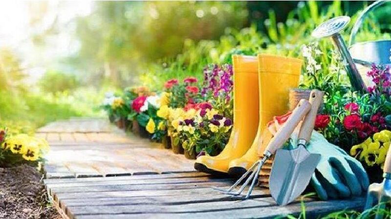 Foto van AVEVE Brakel / De Wolf Clairy & Steven