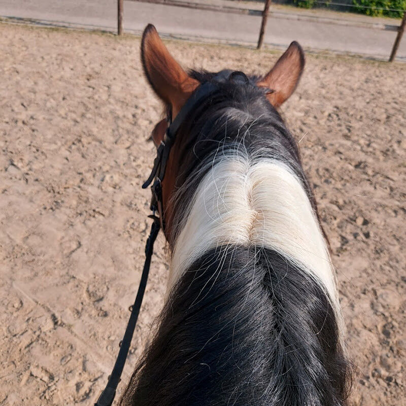 Foto van Paard & Coaching Yvonne