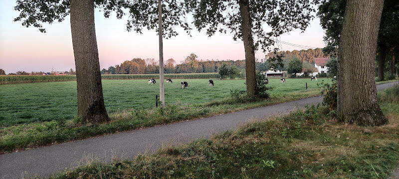 Foto van tj gevelbekleding