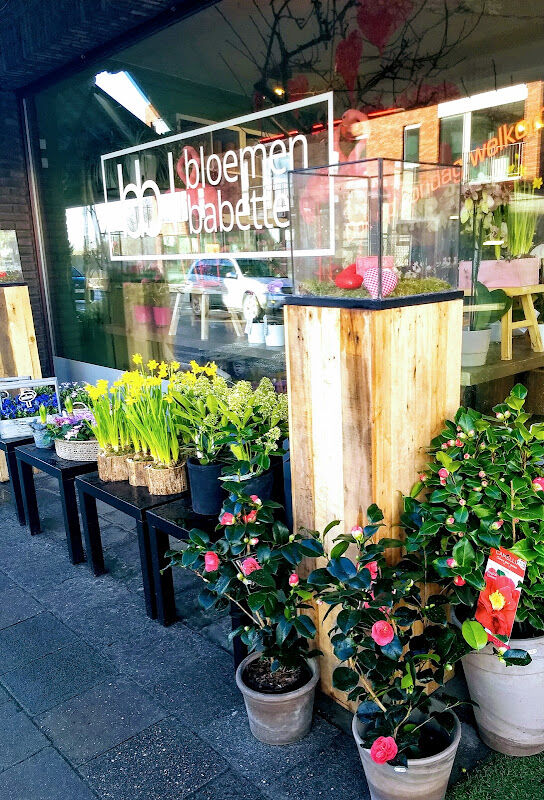 Foto van Bloemen Babette