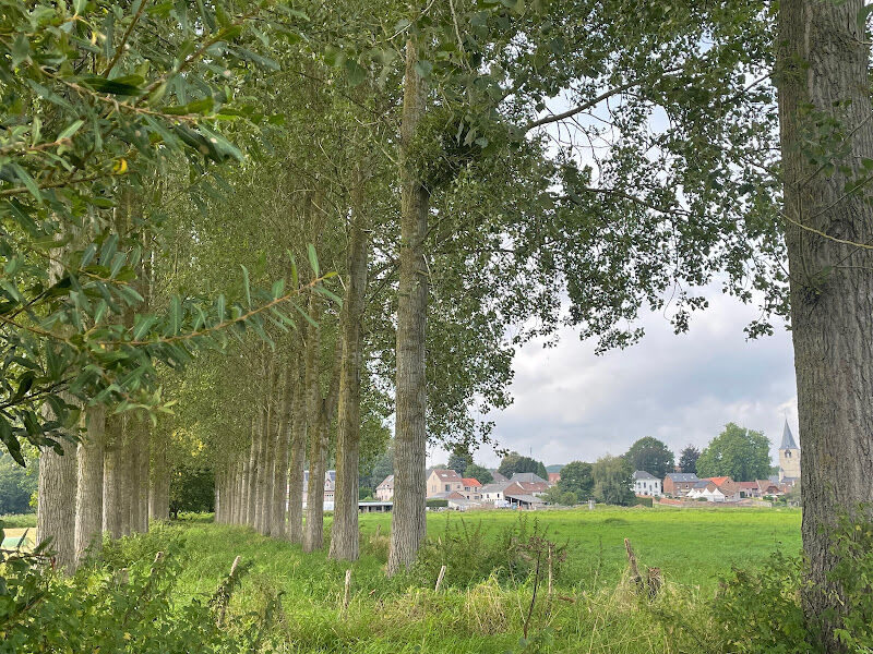 Foto van Huisartsen ROOI ( Dr. De Vos , Dr. Vrijmoed , Dr. Corty )
