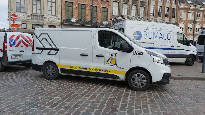 Foto van Hens