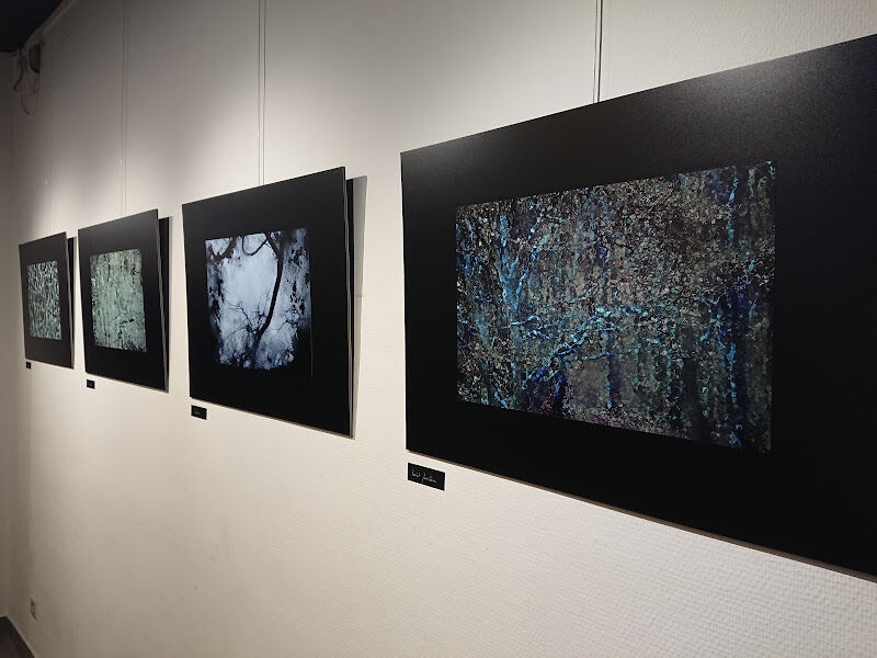 Foto van Galerie Verhaeren