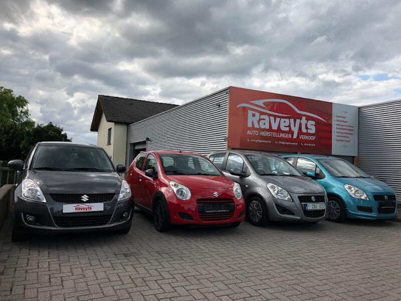 Foto van Garage Raveyts