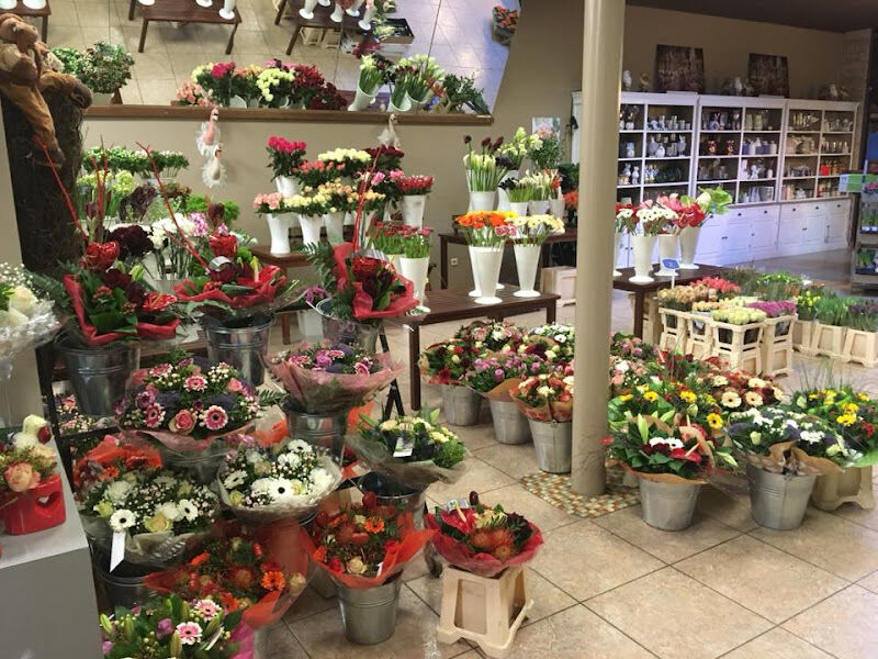 Foto van Mondeoflowers