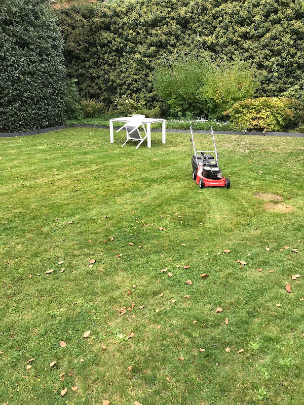 Foto van tuinman Brugge